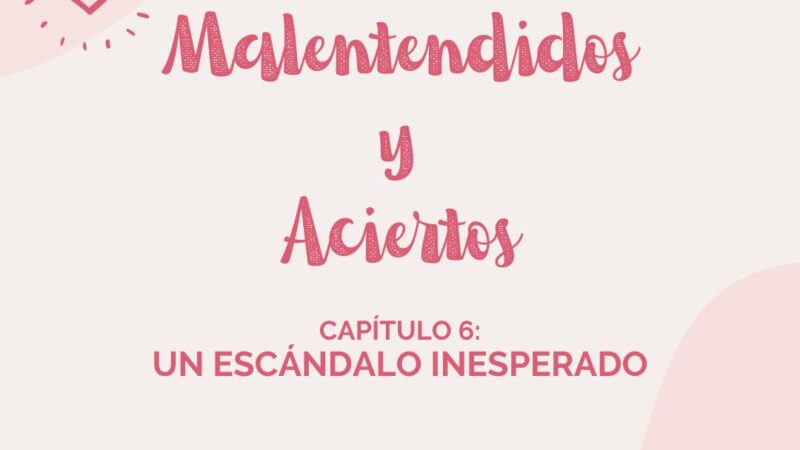 Malentendidos y Aciertos: un escándalo inesperado (Capítulo VI)